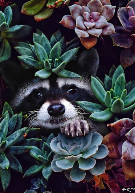 Raccoon Animal Flower Mural Poster