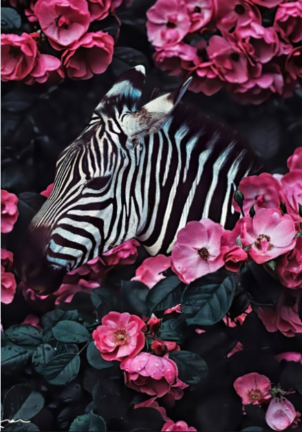 Zebra Animal Flower Mural Poster