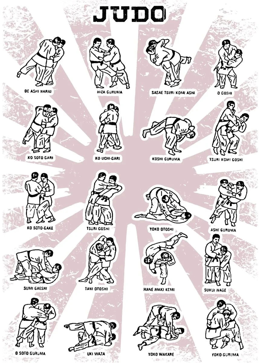 Judo Throws Martial Art Poster