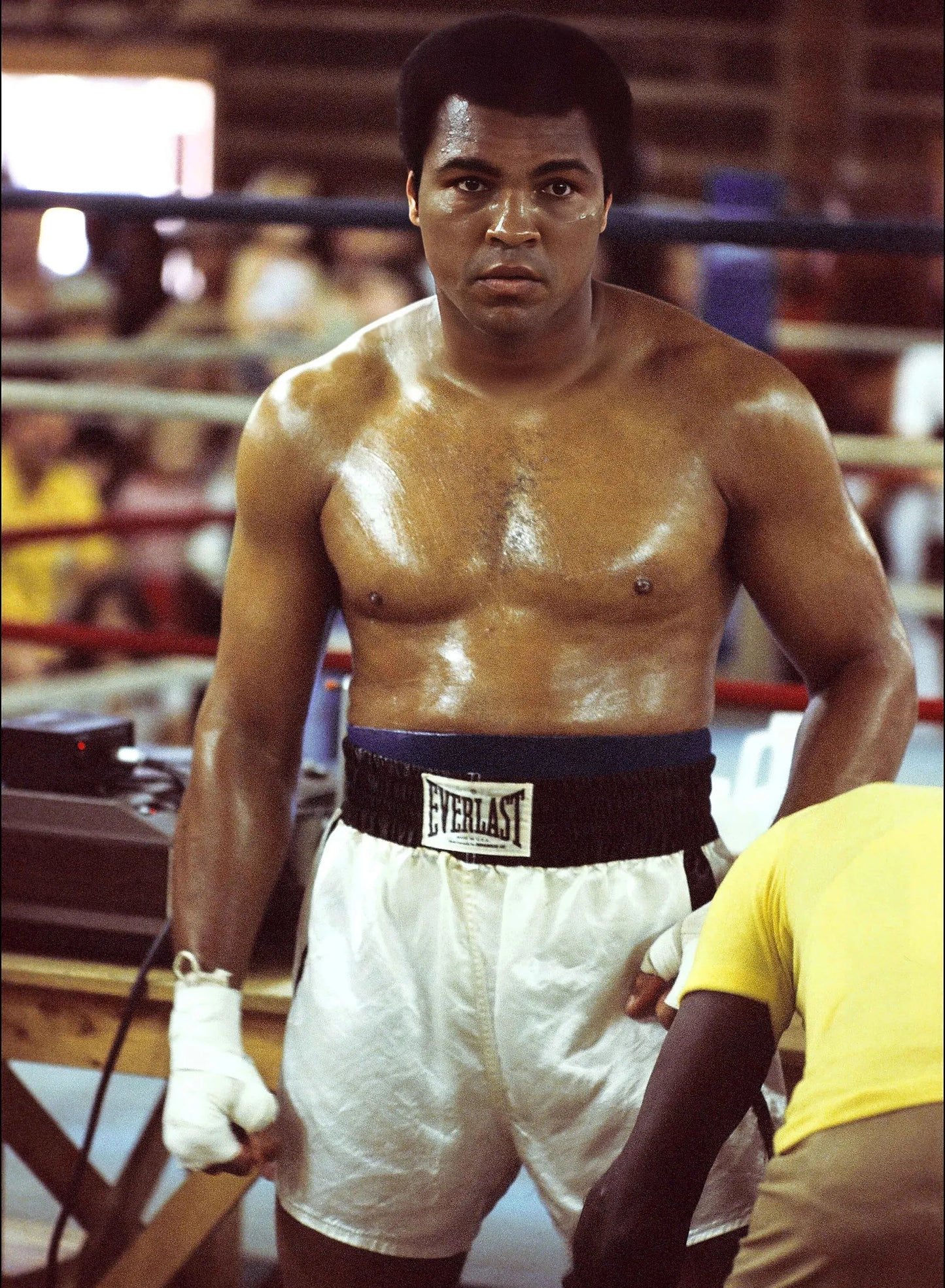 45648951967989|45648952000757|45648952033525