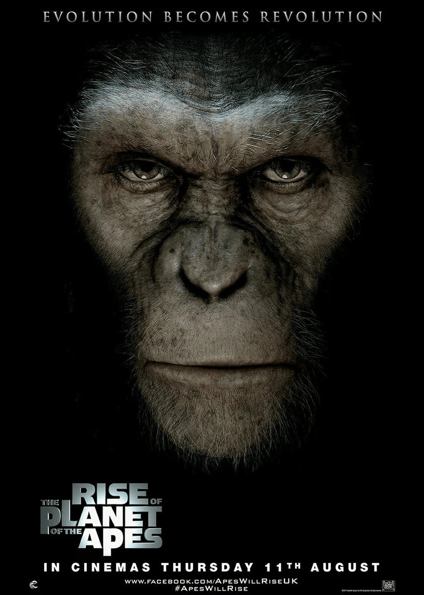 45150505664757|45150505697525