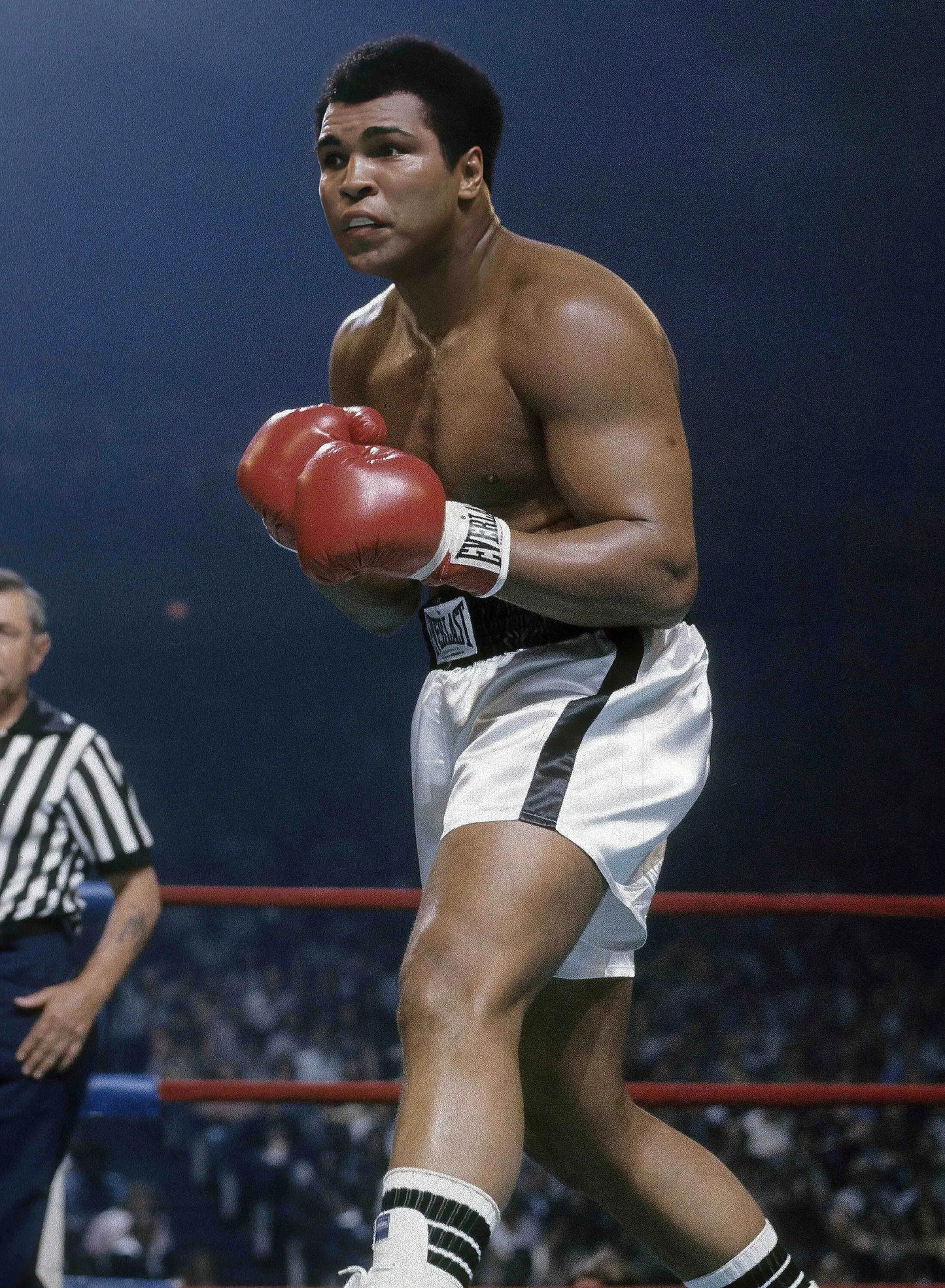 45648951214325|45648951247093|45648951279861