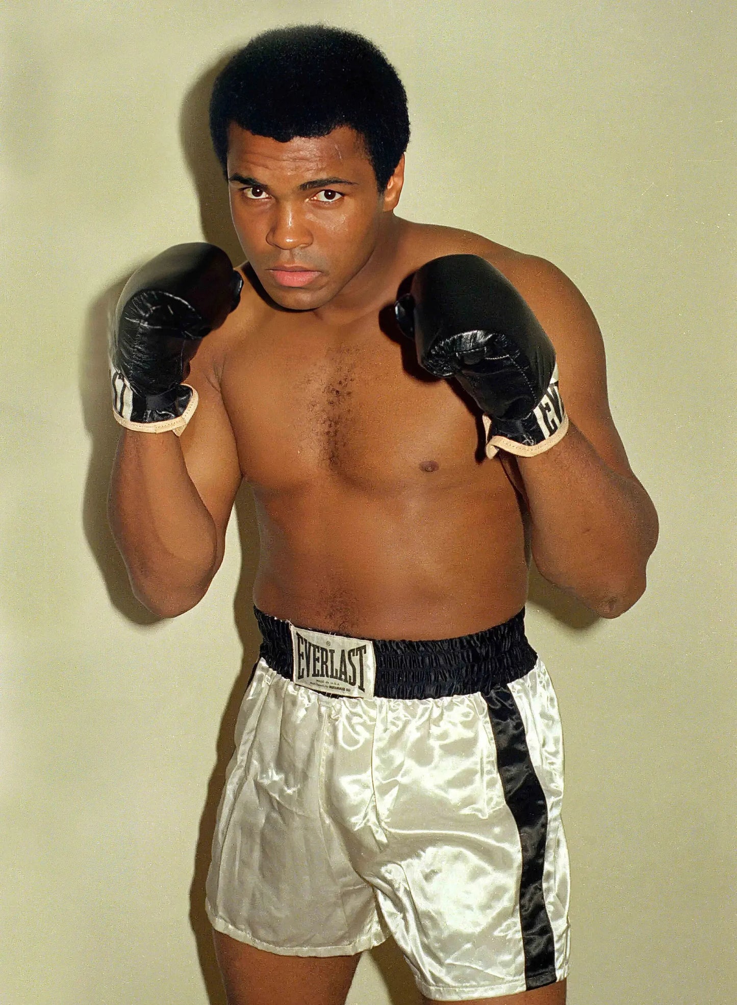 45648951869685|45648951902453|45648951935221