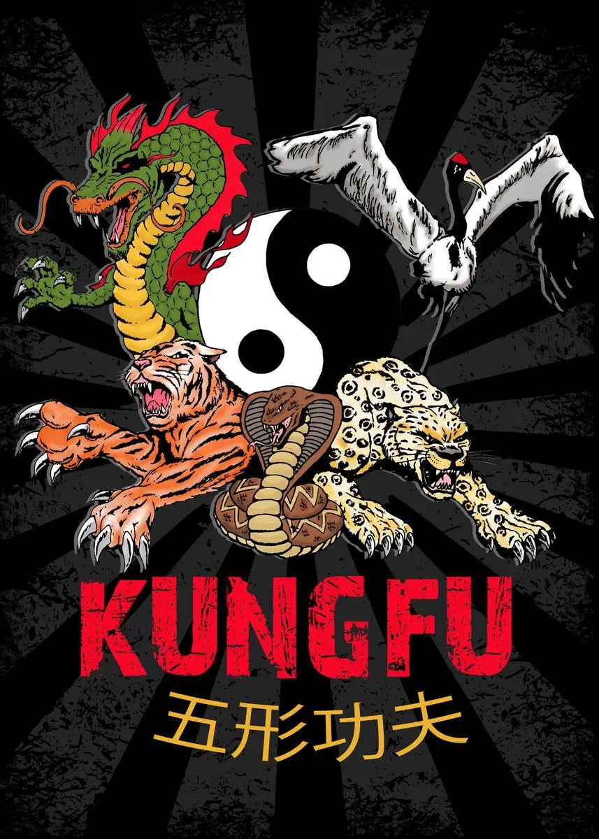 Kung Fu Martial Art Poster