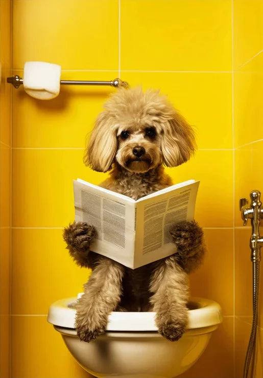 Dog Animal On Toilet Bathroom Poster