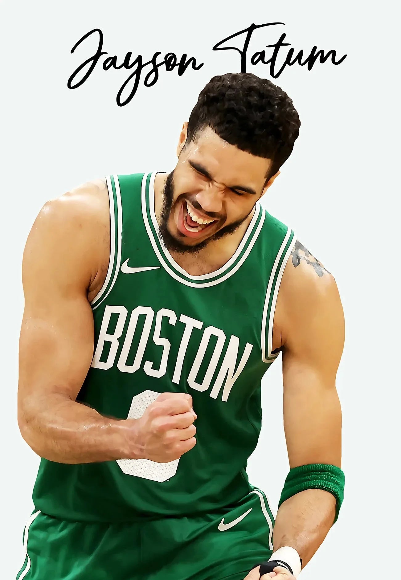 45631546491125|45631546556661|45631546589429