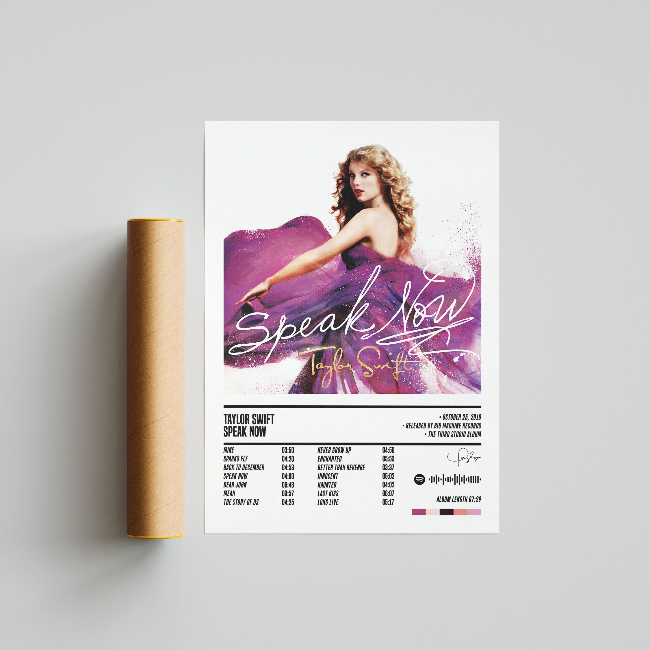 Taylor Swift Speak Now Minimalist Album Cover Poster