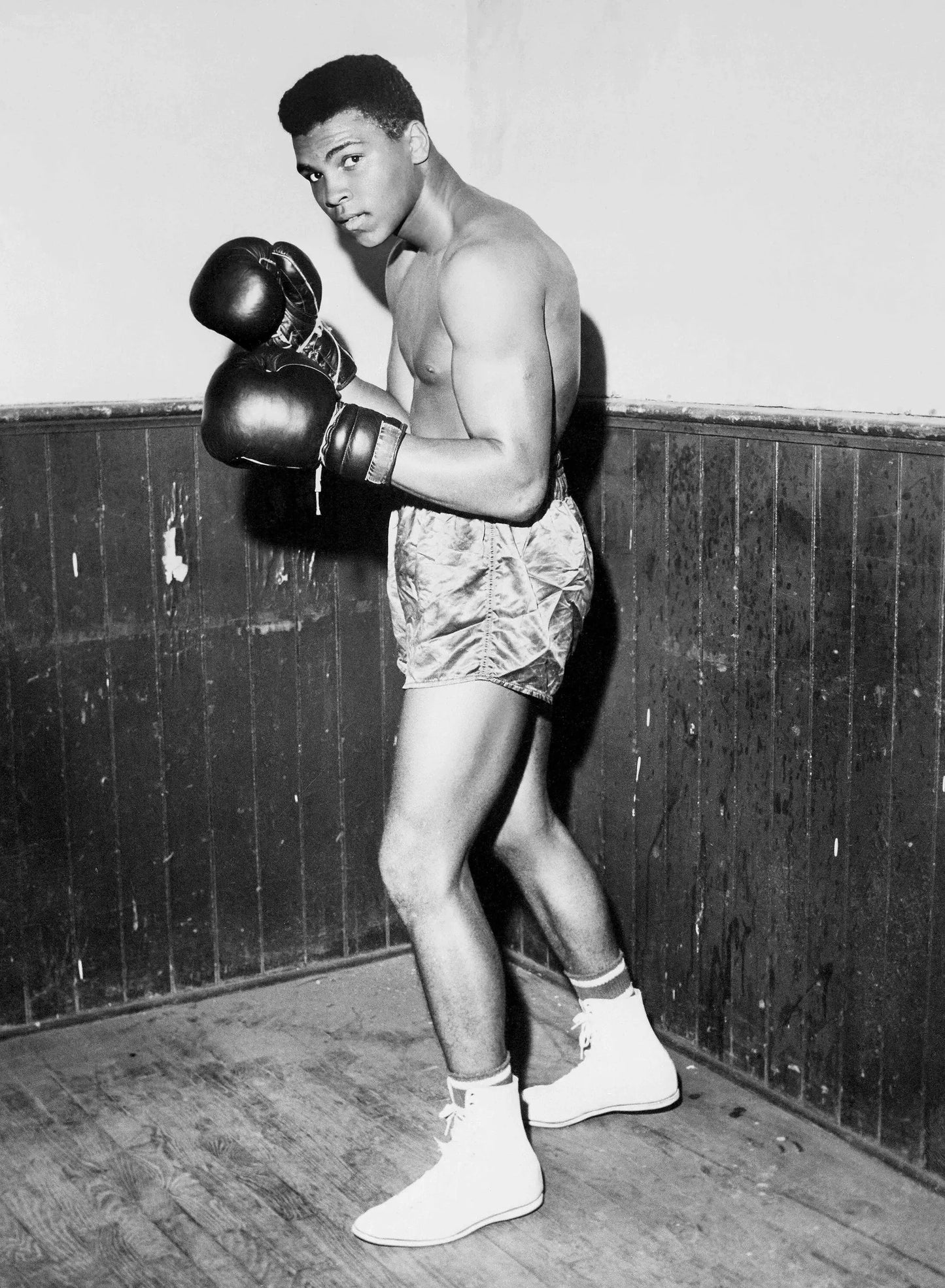 45648950919413|45648950952181|45648950984949