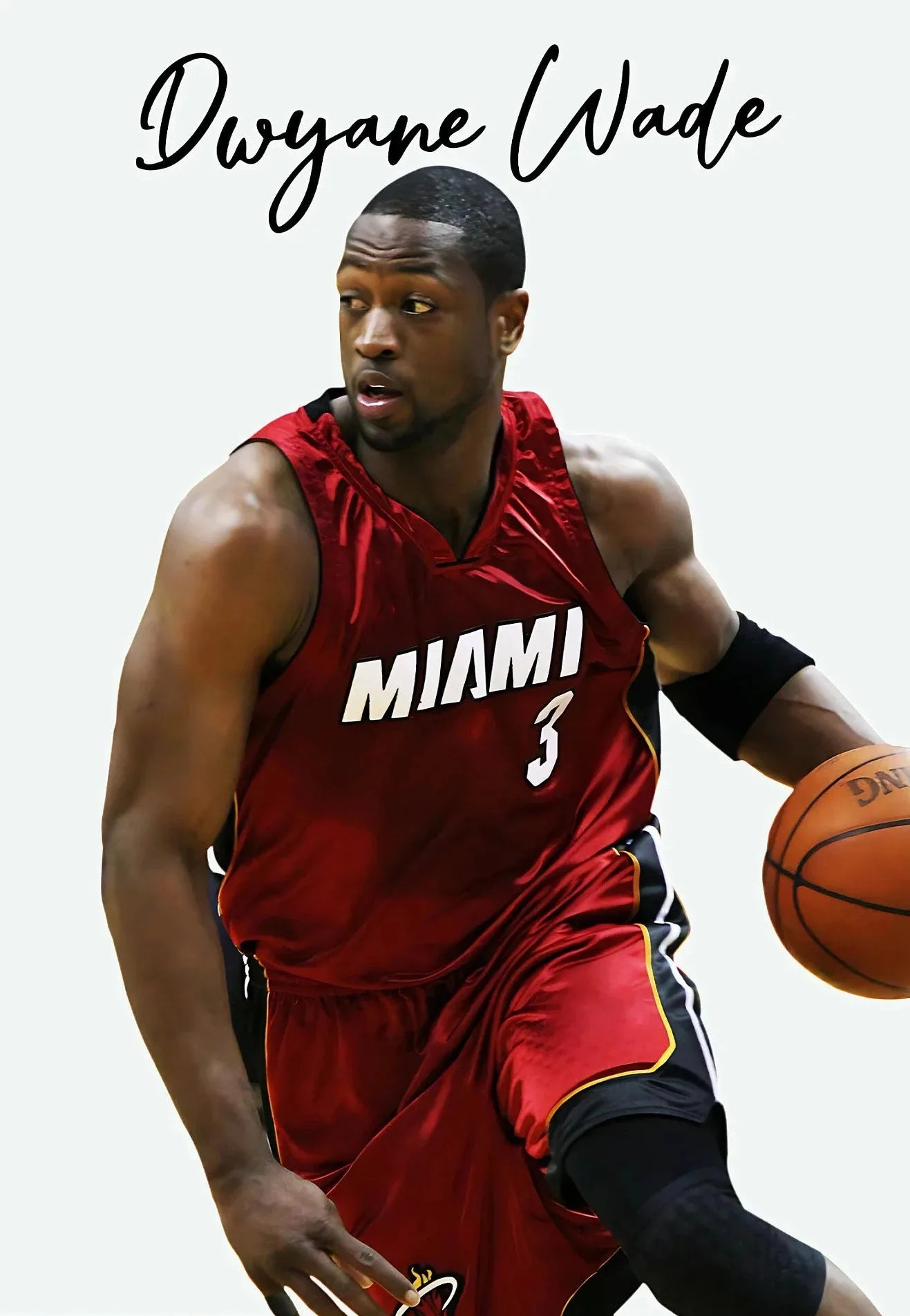 45631546720501|45631546753269|45631546786037