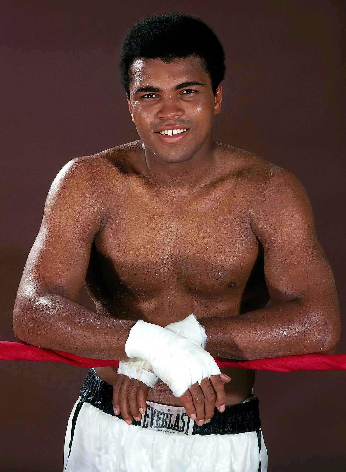 45648951771381|45648951804149|45648951836917