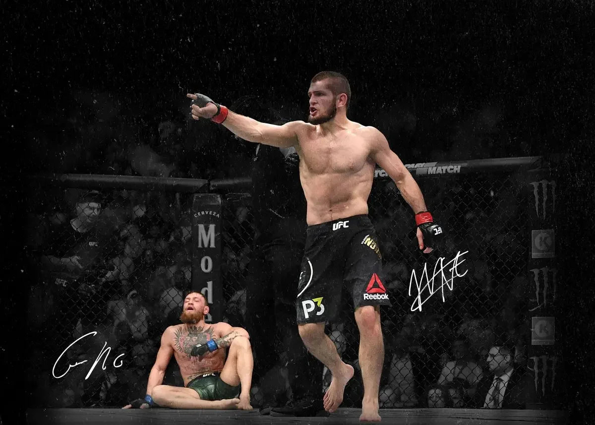 Khabib Vs. Conor Mcgregor UFC Poster