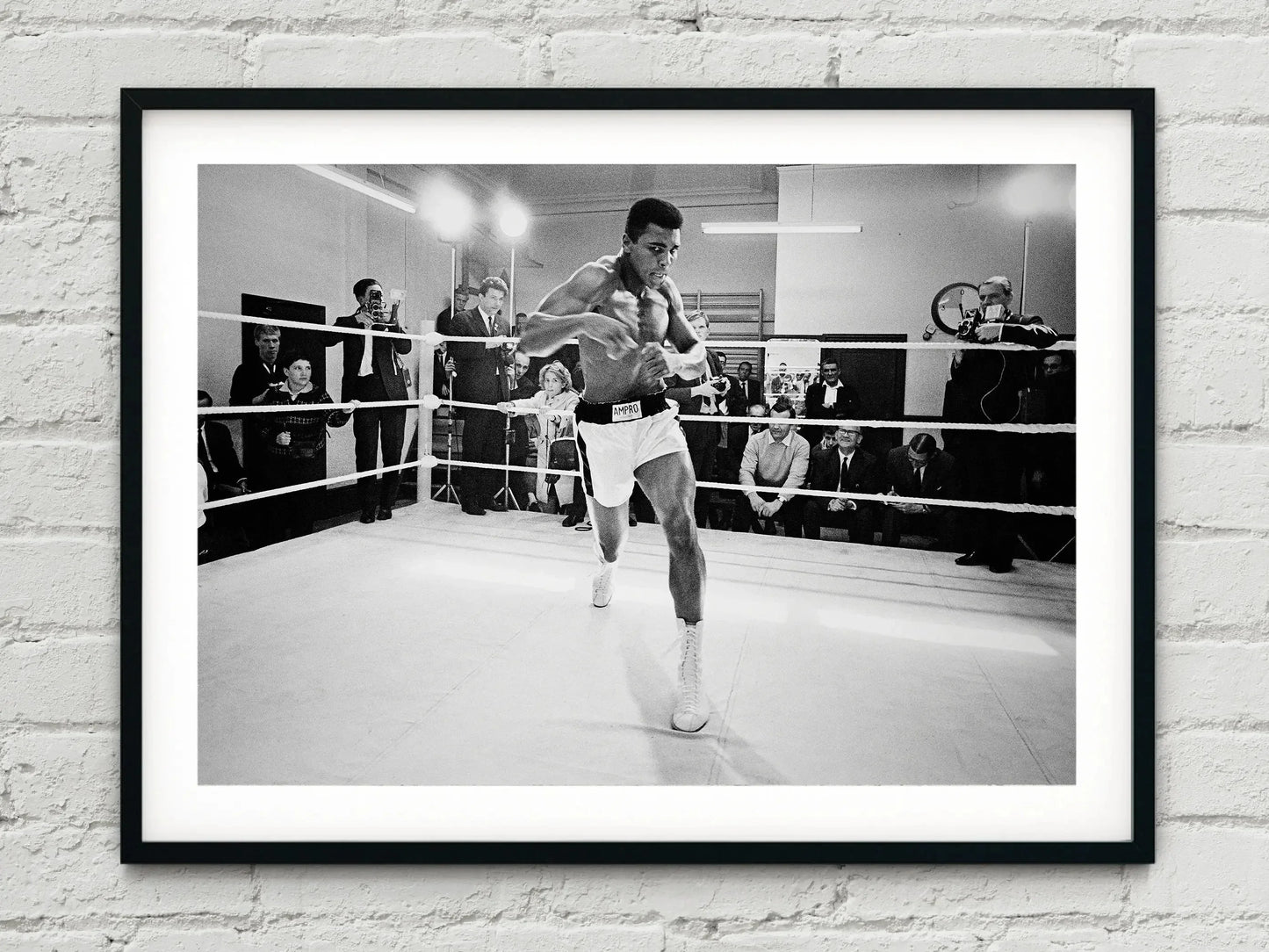 45648898719989|45648898752757|45648898785525