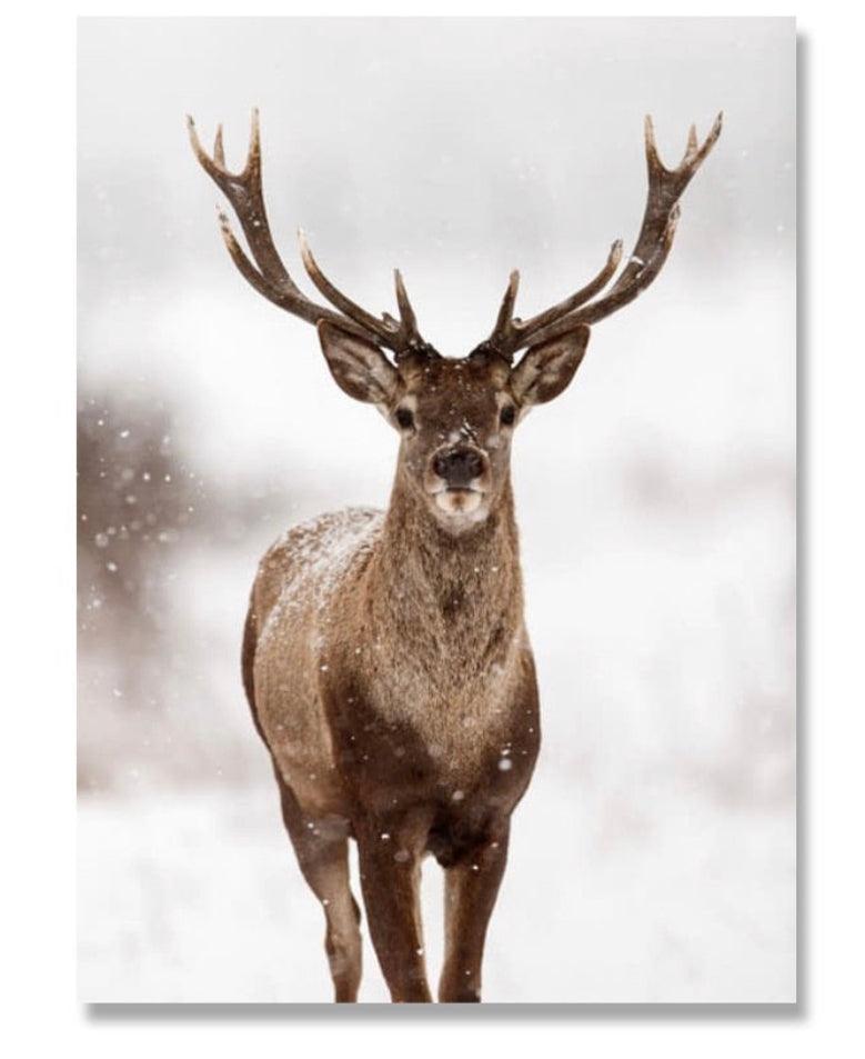 Deer Snowy Landscape Wildlife Print Poster