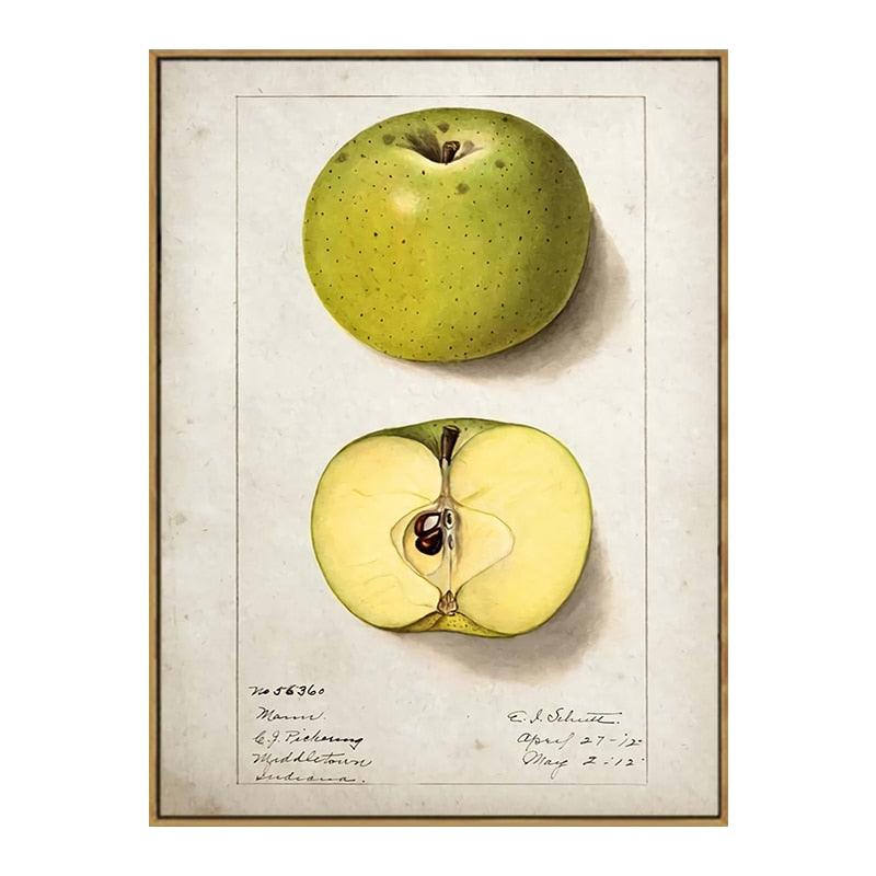 Green Apple Aesthetic Fruit Kitchen Wall Art Poster - Aesthetic Wall Decor