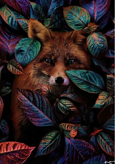 Fox Animal Flower Mural Poster