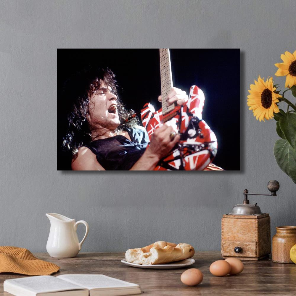 Eddie Van Halen Guitar Concert Portrait Poster
