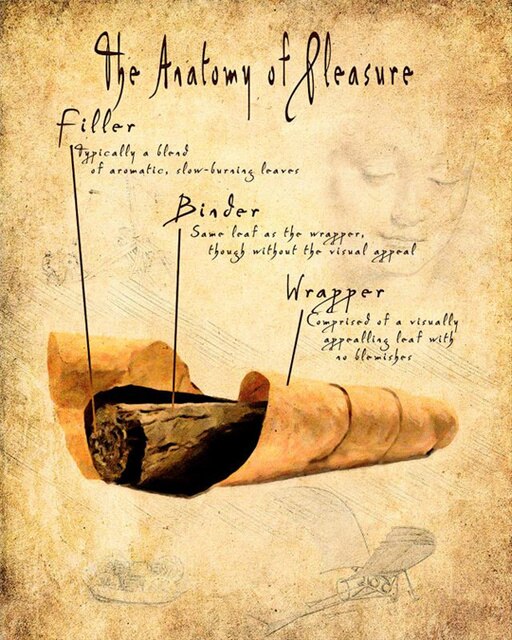 The Anatomy Of Pleasure Cigar Room Poster