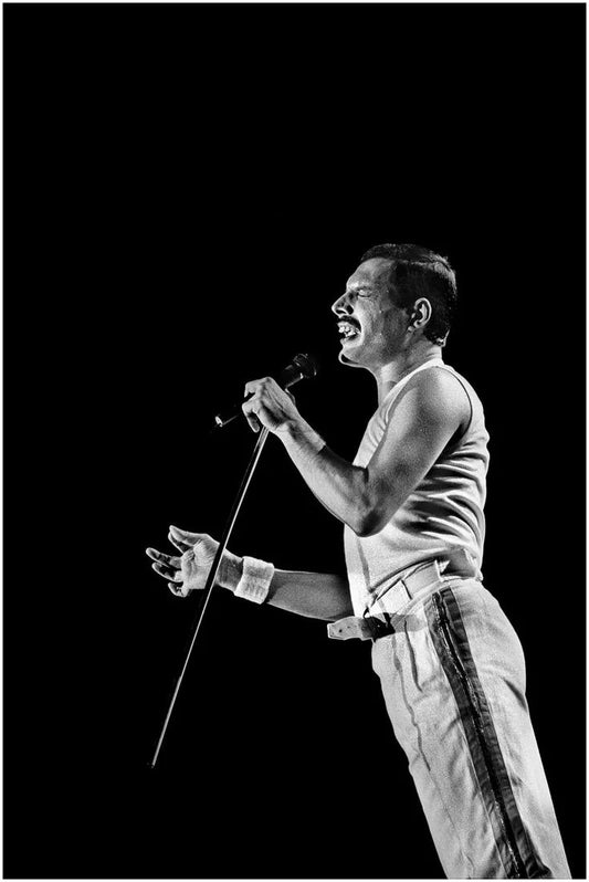 Queen Band Freddie Mercury Singing Poster