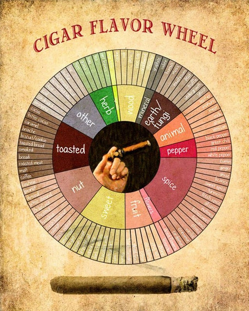 Cigar Flavor Wheel Cigar Room Poster