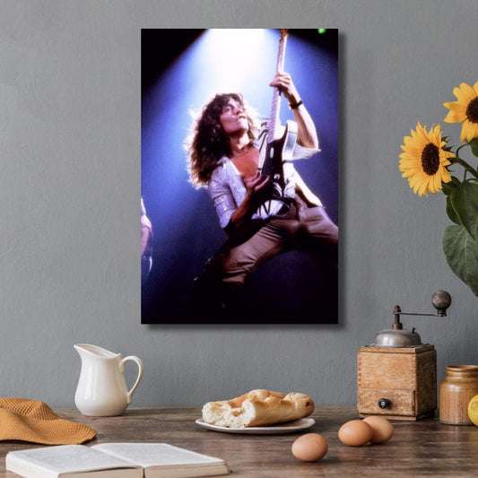 Van Halen Portrait Concert Poster