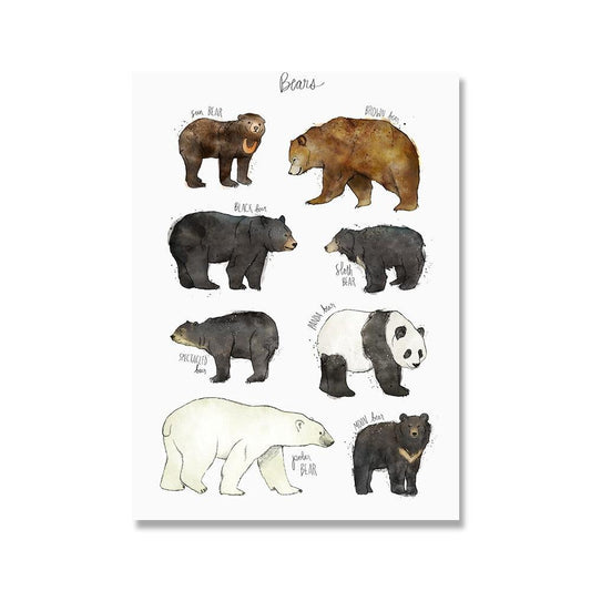 Bear Types Poster - Aesthetic Wall Decor