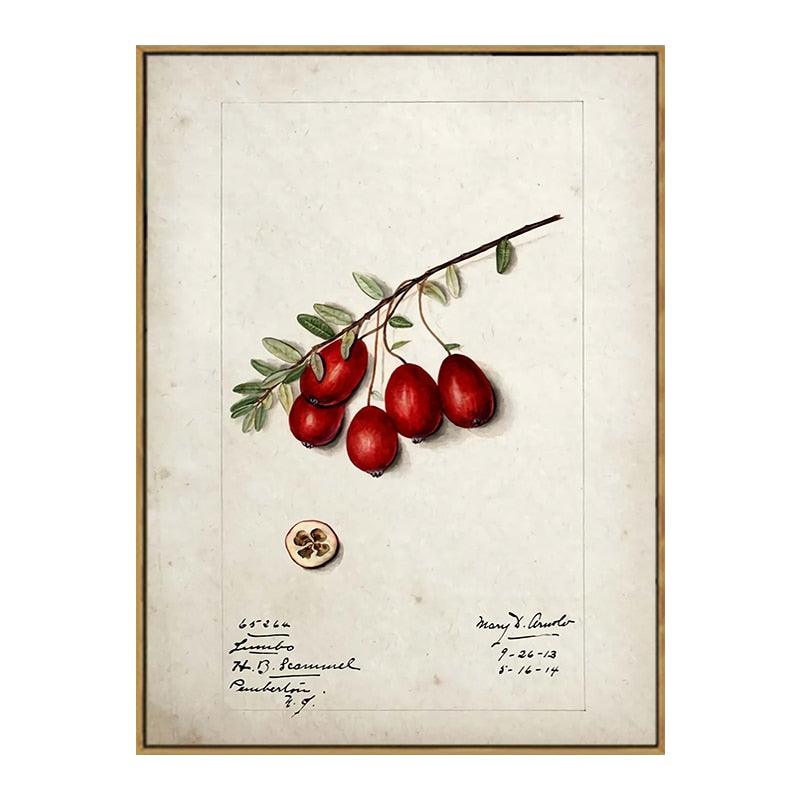 Cranberries Aesthetic Fruit Kitchen Wall Art Poster - Aesthetic Wall Decor