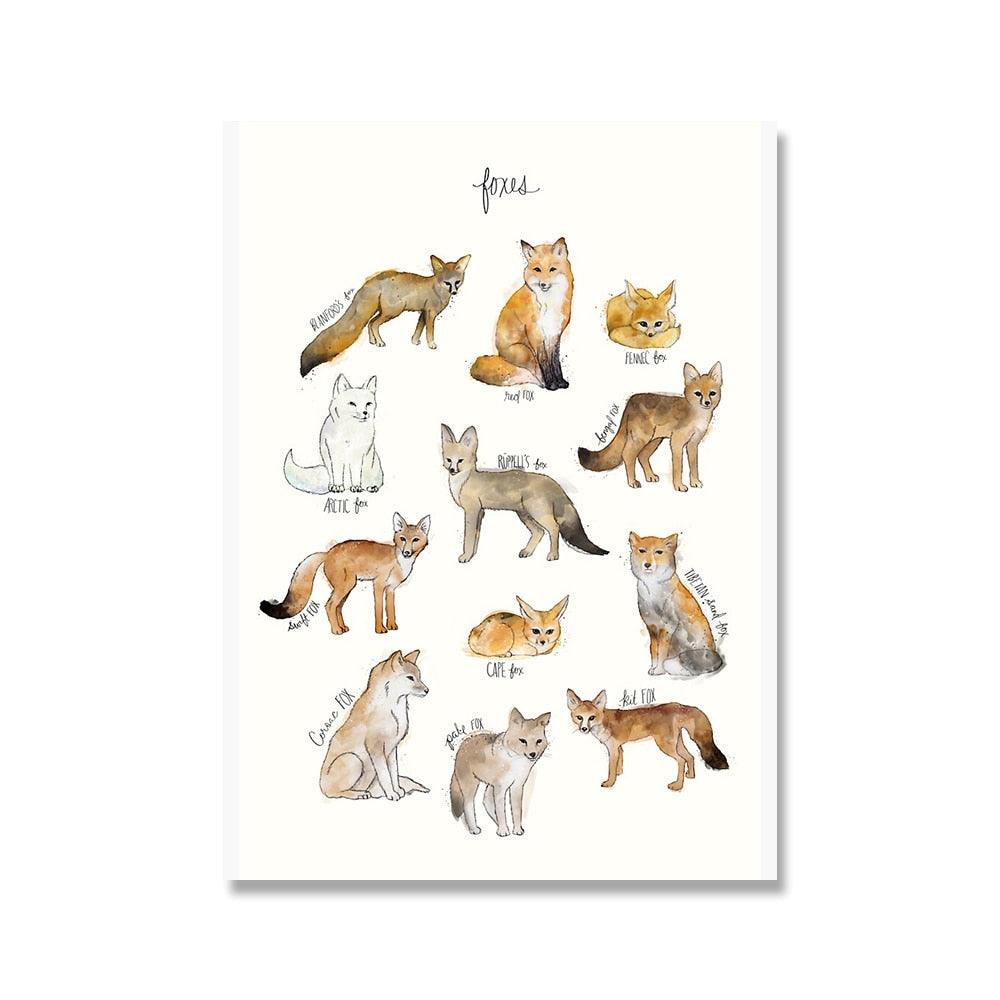 Different Fox Types Poster - Aesthetic Wall Decor
