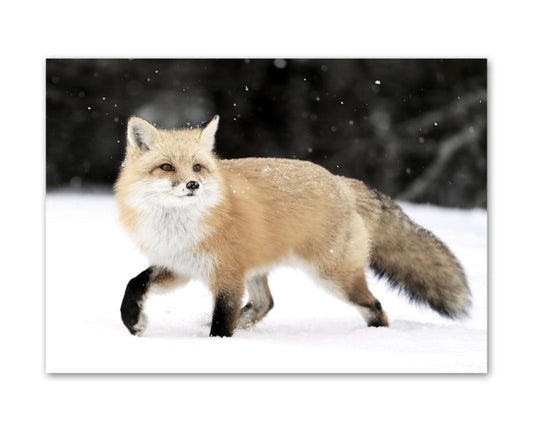 Fox Snowy Landscape Wildlife Wall Art Poster - Aesthetic Wall Decor