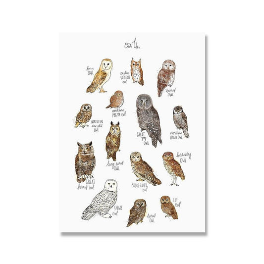 Owl Types Poster - Aesthetic Wall Decor