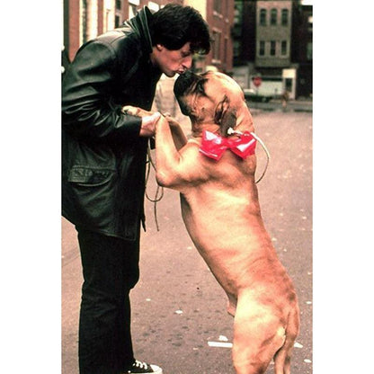 Rocky & His Dog Butkus Portrait Wall Art Poster - Aesthetic Wall Decor