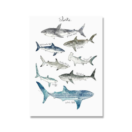 Shark Types Wildlife Poster - Aesthetic Wall Decor