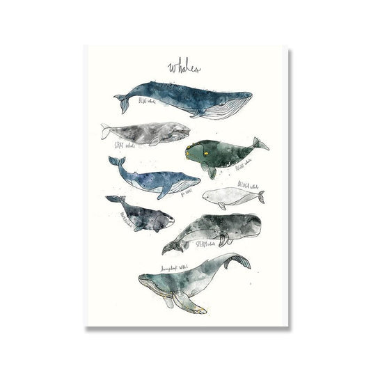 Whale Types Animal Poster - Aesthetic Wall Decor
