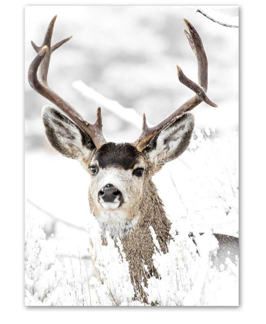 White-Tailed Deer Snowy Landscape Print - Aesthetic Wall Decor